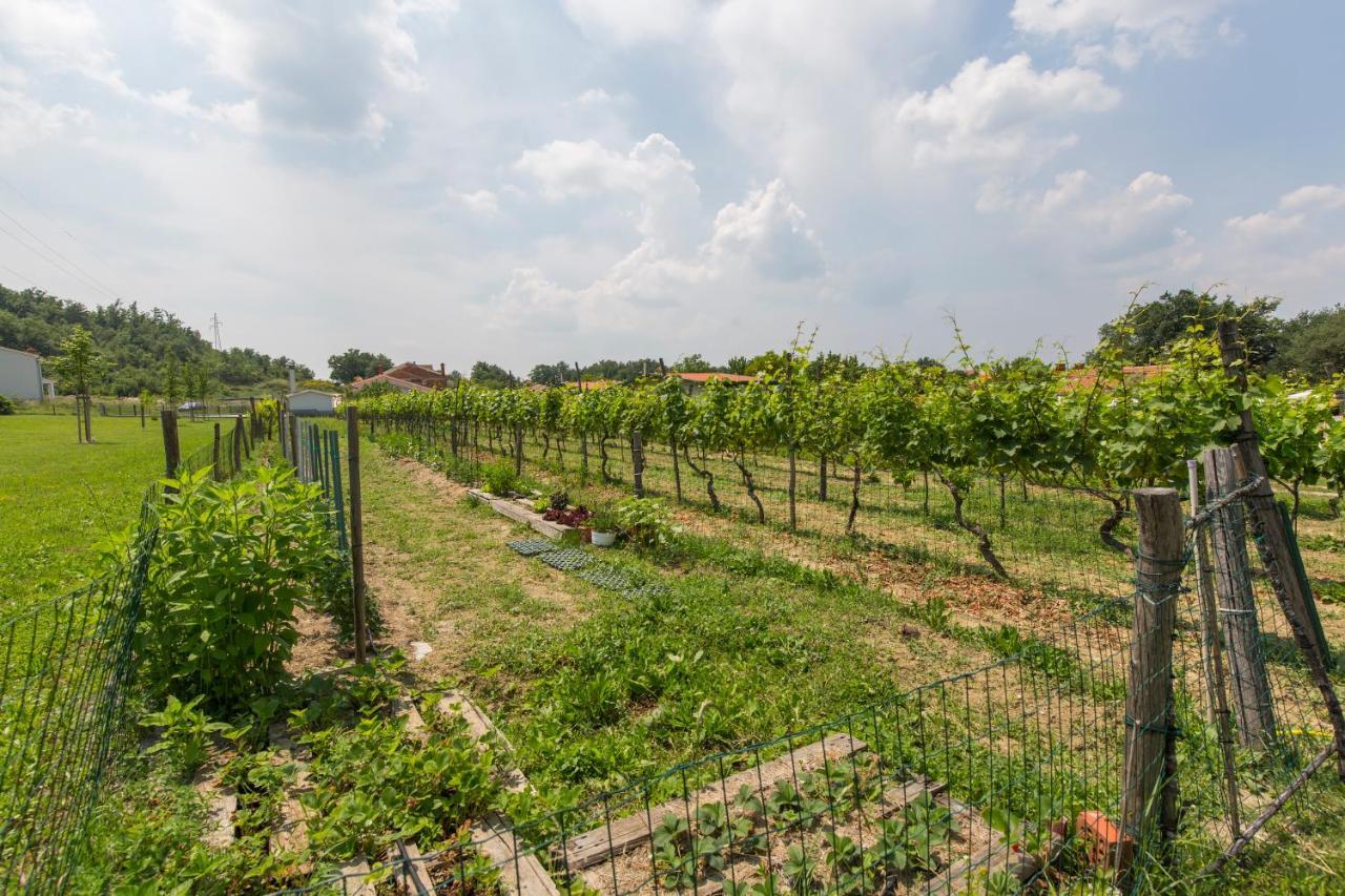Kamp Romantik - Glamping Labin  Exterior foto